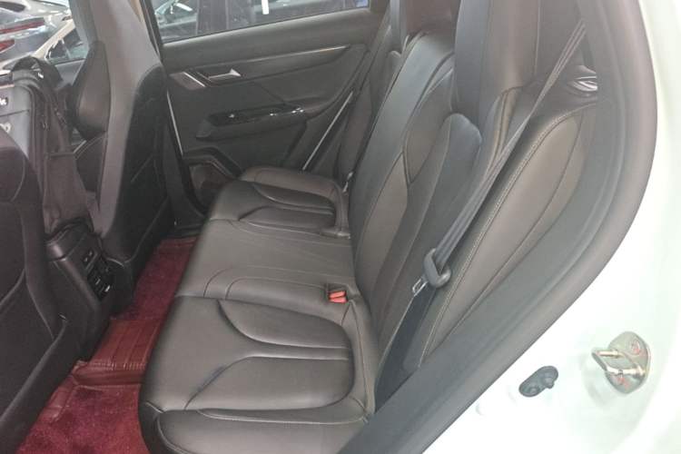 Used XPeng G3 2021 G3i 460N Left Rear Seat