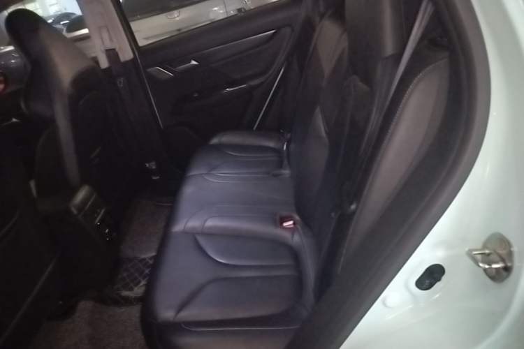 Used XPeng G3 2021 G3i 520G+ Left Rear Seat