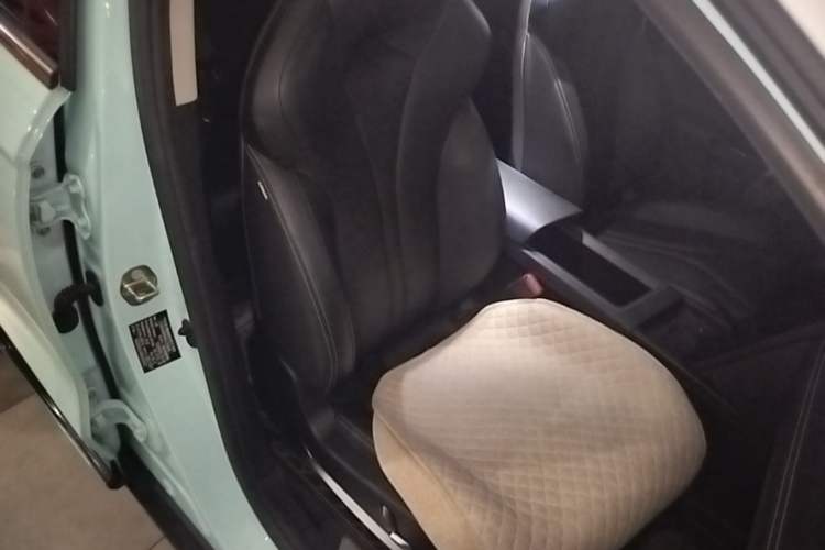 Used XPeng G3 2021 G3i 520G+ Right Front Seat