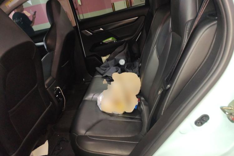 Used XPeng G3 2021 G3i 460N Left Rear Seat