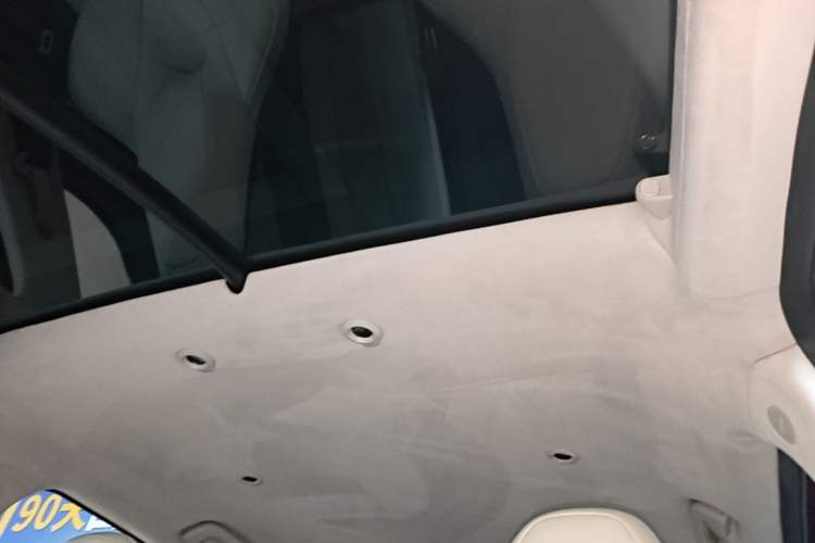 Used XPeng G3 2021 G3i 520N Headliner
