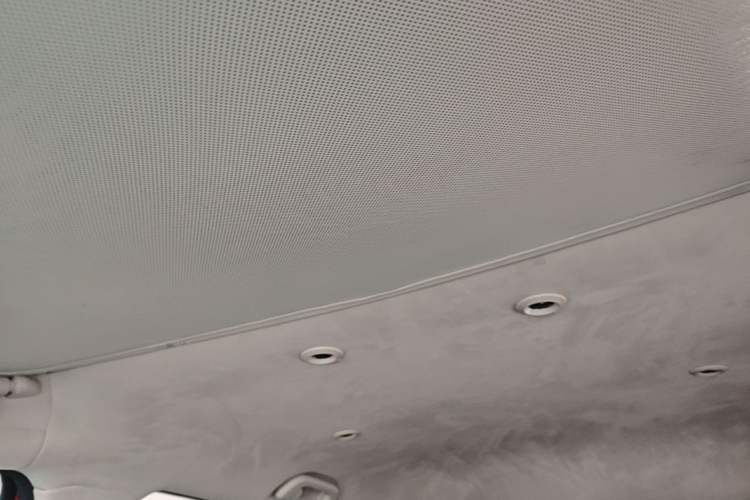 Used XPeng G3 2021 G3i 520N Headliner