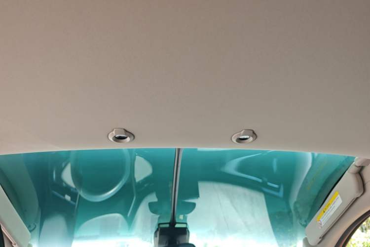 Used XPeng G3 2021 G3i 460N Headliner