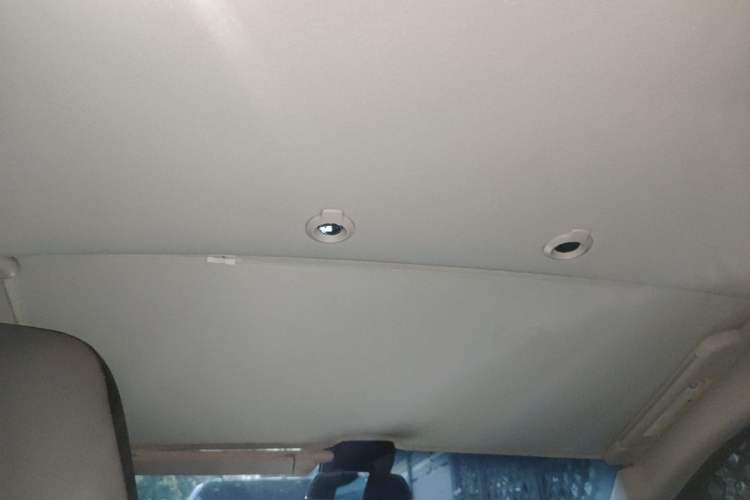 Used XPeng G3 2021 G3i 460N Headliner