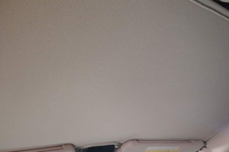 Used XPeng G3 2021 G3i 520N Headliner