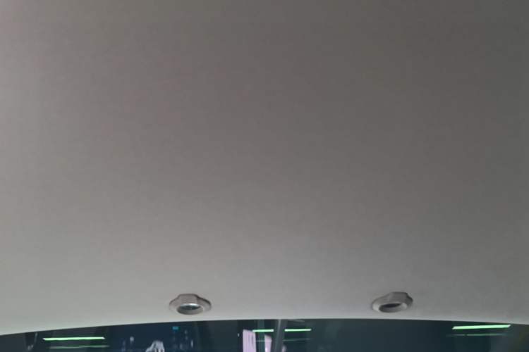 Used XPeng G3 2021 G3i 520N Headliner