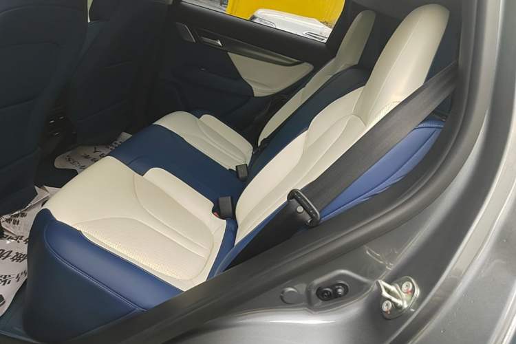 Used XPeng G3 2021 G3i 460N Left Rear Seat