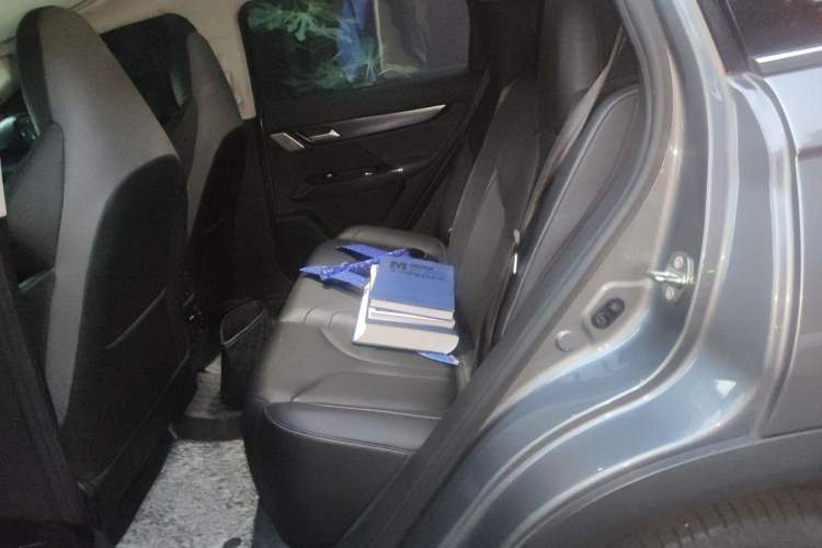 Used XPeng G3 2021 G3i 460N Left Rear Seat