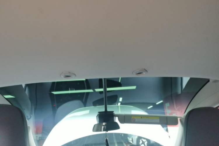 Used XPeng G3 2021 G3i 520N Headliner