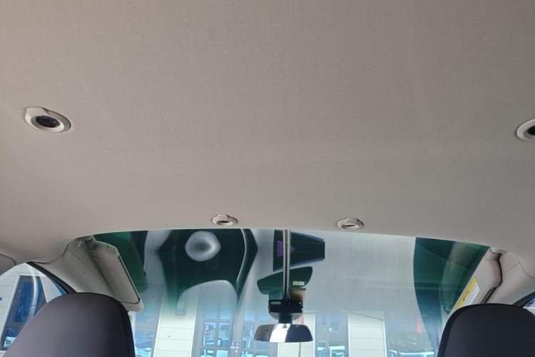 Used XPeng G3 2021 G3i 460G Headliner