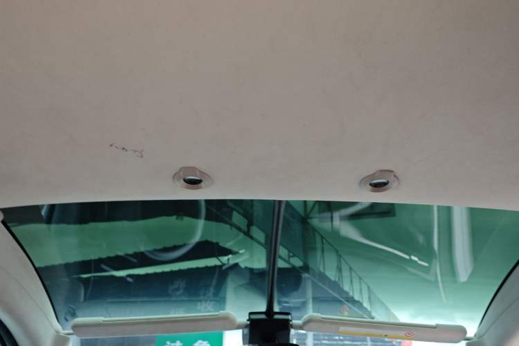 Used XPeng G3 2021 G3i 520N Headliner