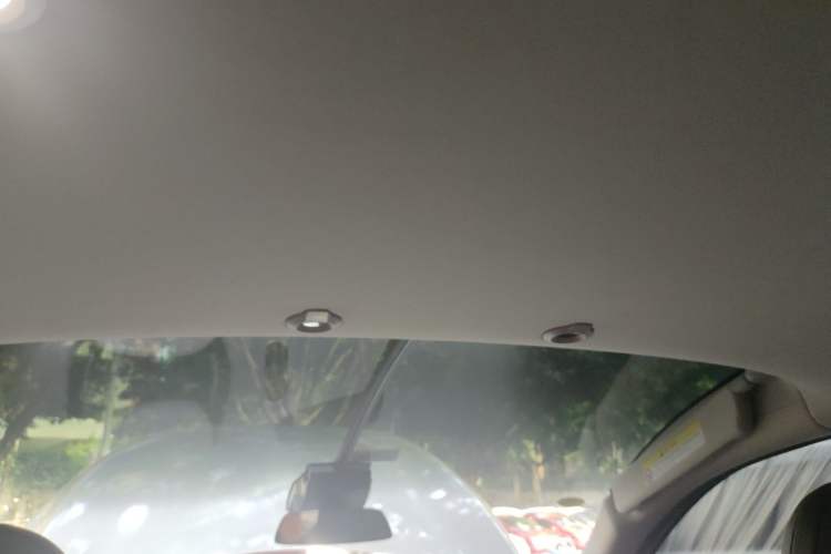 Used XPeng G3 2021 G3i 520N Headliner
