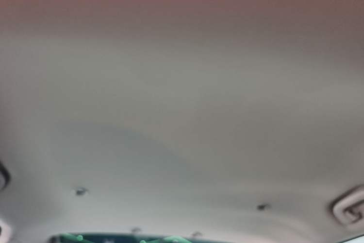 Used XPeng G3 2021 G3i 520G Headliner