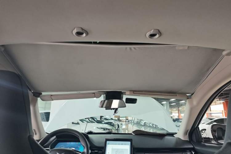 Used XPeng G3 2021 G3i 520N Headliner