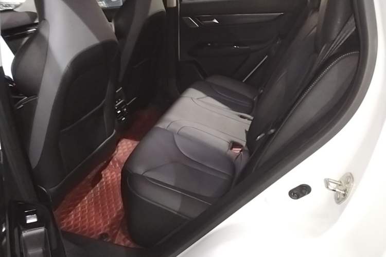 Used XPeng G3 2021 G3i 520G Left Rear Seat