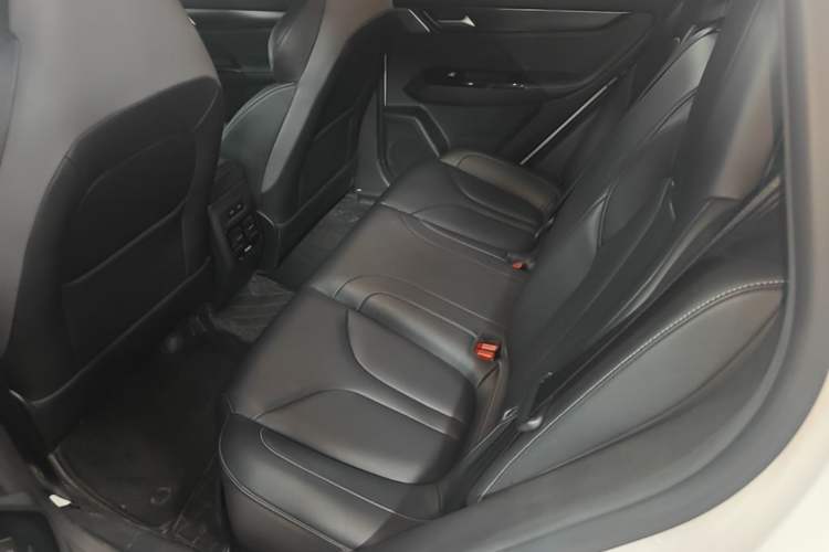 Used XPeng G3 2021 G3i 460G Left Rear Seat