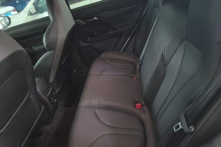 Used XPeng G3 2021 G3i 520G+ Left Rear Seat