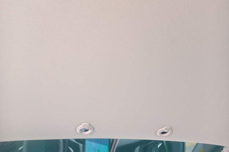 Used XPeng G3 2021 G3i 460N Headliner