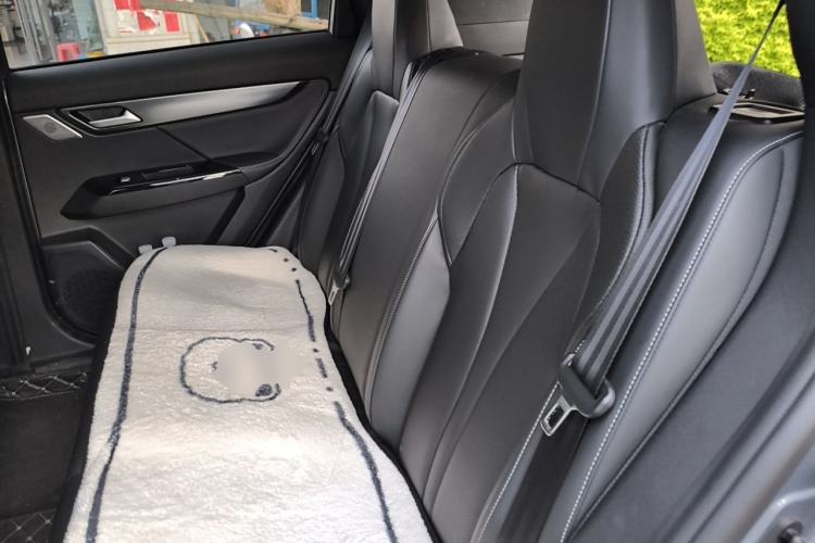 Used XPeng G3 2022 G3i 460N Left Rear Seat