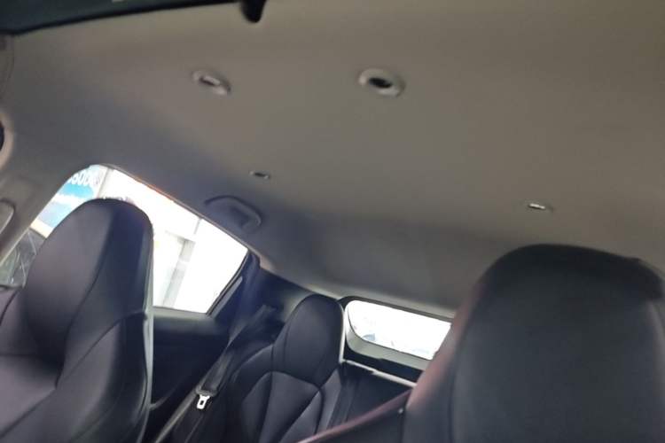 Used XPeng G3 2022 G3i 520N+ Headliner