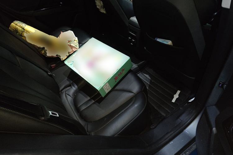 Used XPeng G3 2022 G3i 520N Left Rear Seat