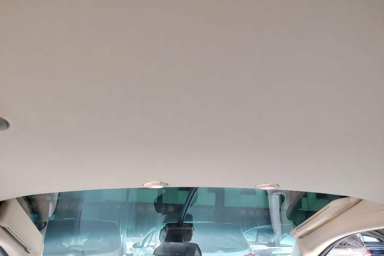 Used XPeng G3 2022 G3i 460N Headliner
