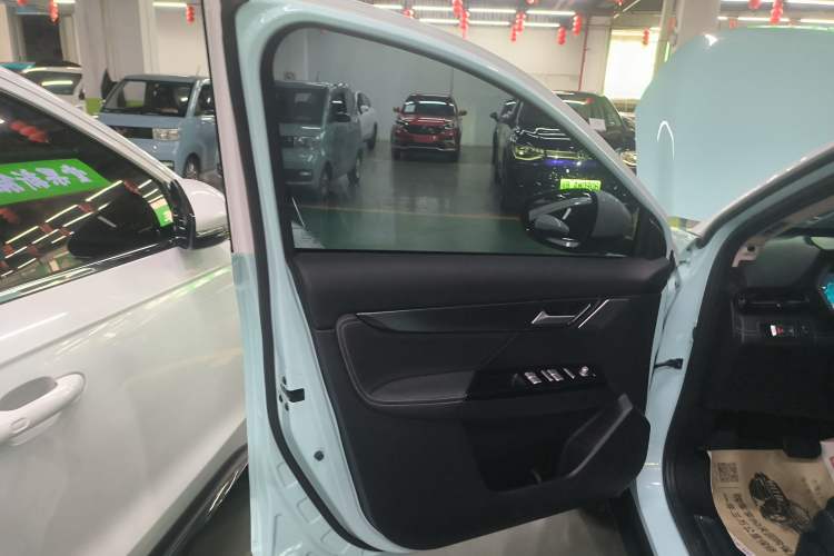 Used XPeng G3 2022 G3i 460G+ Left Front Door Interior