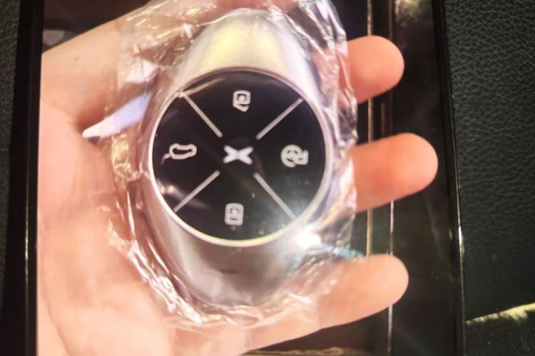 Used XPeng G3 2022 G3i 460G+ Vehicle Key