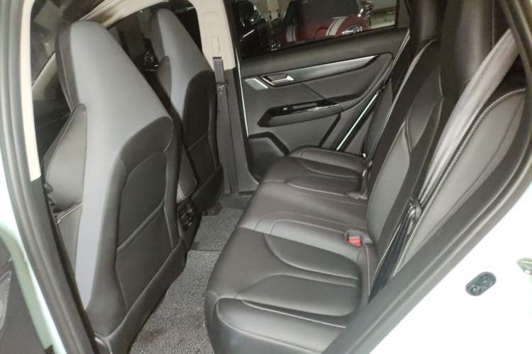 Used XPeng G3 2022 G3i 460N Left Rear Seat