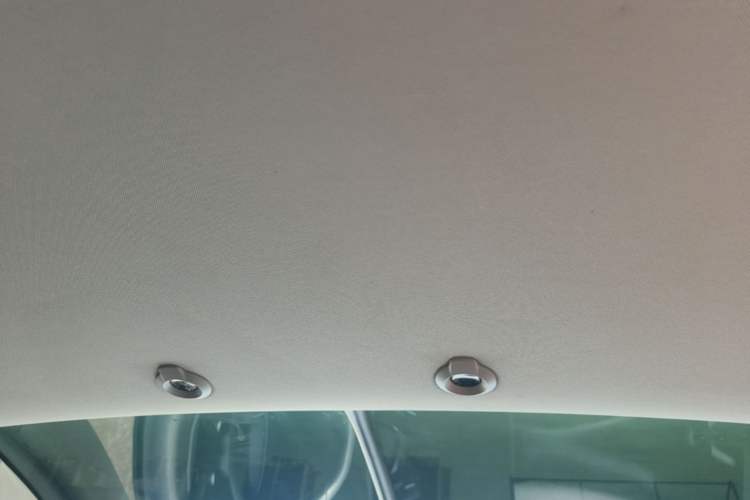 Used XPeng G3 2022 G3i 520N+ Headliner