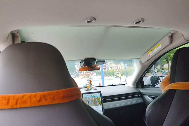 Used XPeng G3 2022 G3i 460N Headliner