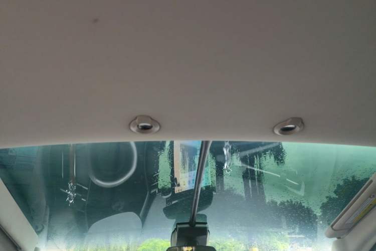 Used XPeng G3 2022 G3i 520N+ Headliner