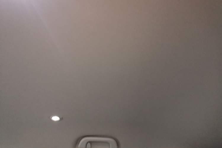 Used XPeng G3 2022 G3i 460N+ Headliner