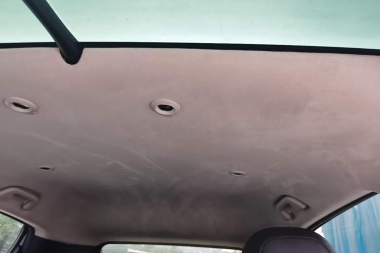 Used XPeng G3 2022 G3i 520N+ Headliner