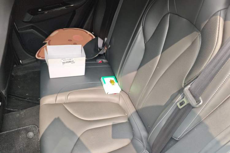 Used XPeng G3 2022 G3i 520N+ Left Rear Seat