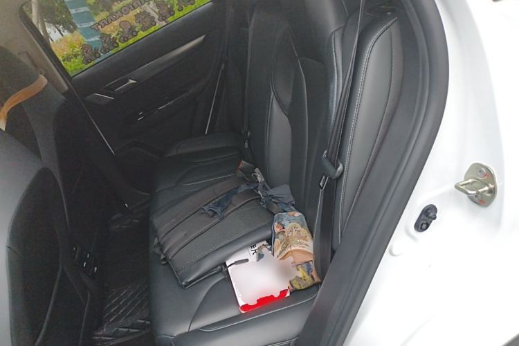 Used XPeng G3 2022 G3i 460N Left Rear Seat