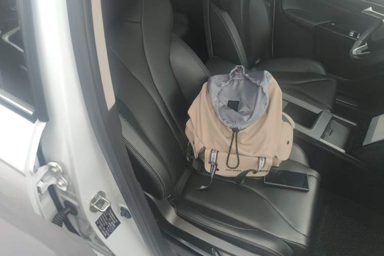 Used XPeng G3 2022 G3i 520N+ Right Front Seat