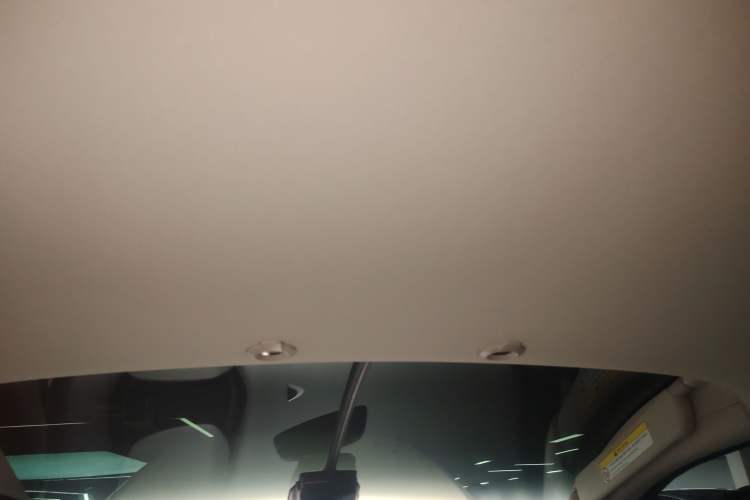 Used XPeng G3 2022 G3i 460N Headliner