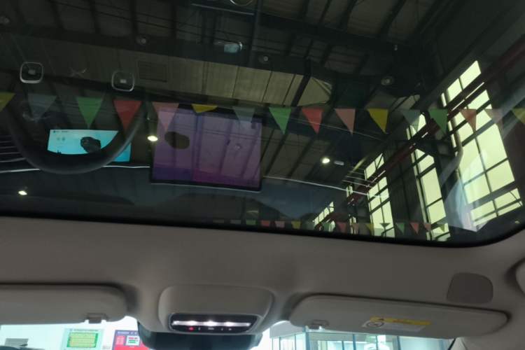 Used XPeng G6 2023 580 Long-Range Pro Headliner
