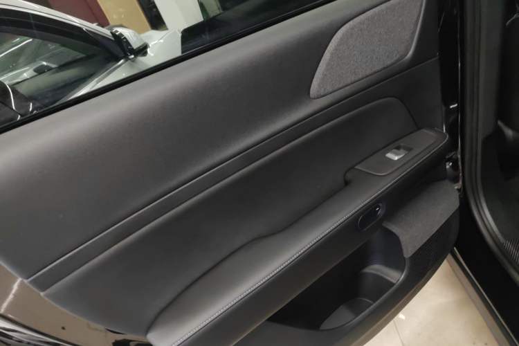Used XPeng G6 2023 580 Long-Range Pro Left Rear Door Interior