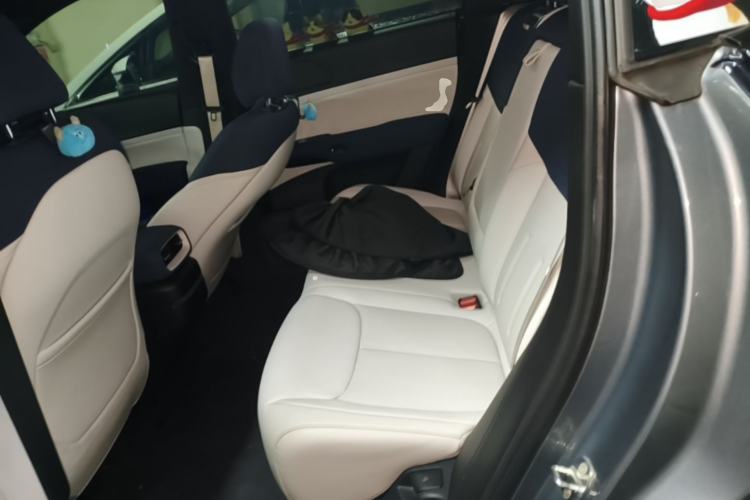 Used XPeng G6 2023 700 Four-Wheel Drive Performance Max Left Rear Seat
