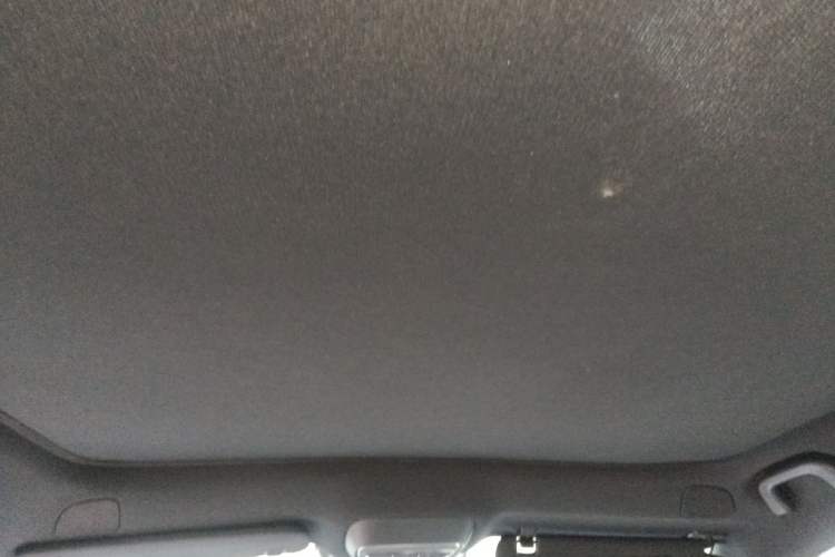 Used XPeng G6 2023 580 Long-Range Pro Headliner