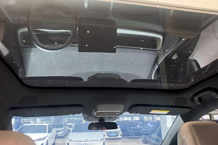 Used XPeng G6 2023 580 Long-Range Pro Headliner