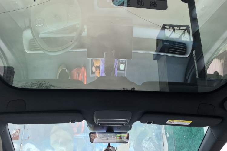 Used XPeng G6 2023 580 Long-Range Pro Headliner