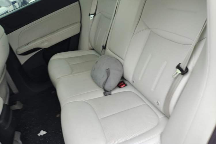 Used XPeng G6 2023 700 Four-Wheel Drive Performance Max Left Rear Seat