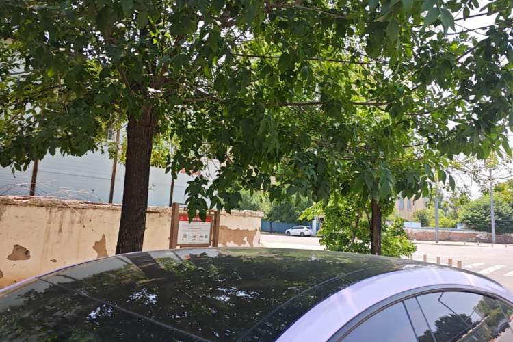 Used XPeng G6 2023 580 Long-Range Pro Roof