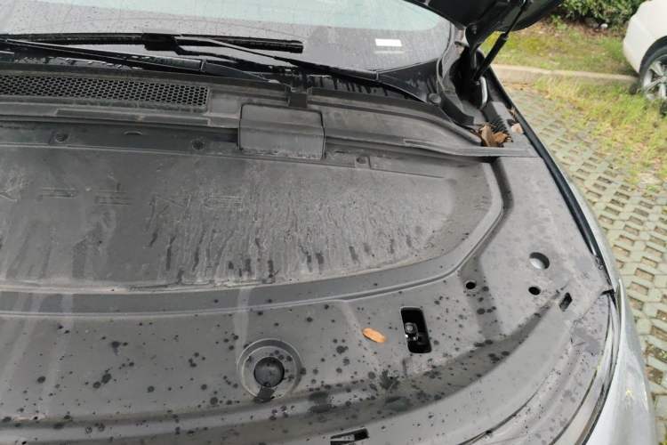 Used XPeng G6 2023 580 Long-Range Pro Engine Bay Left