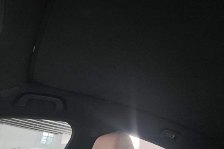 Used XPeng G6 2023 700 Four-Wheel Drive Performance Max Headliner