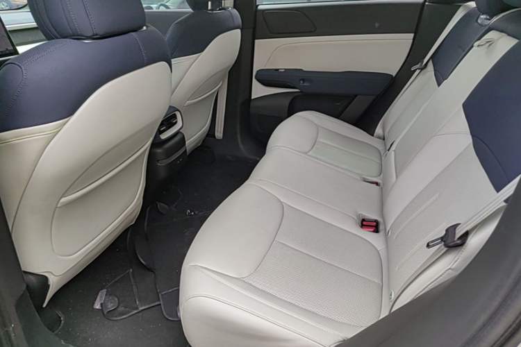 Used XPeng G6 2023 700 Four-Wheel Drive Performance Max Left Rear Seat