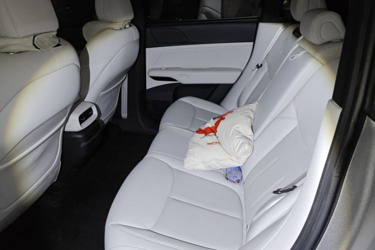 Used XPeng G6 2023 700 Four-Wheel Drive Performance Max Left Rear Seat